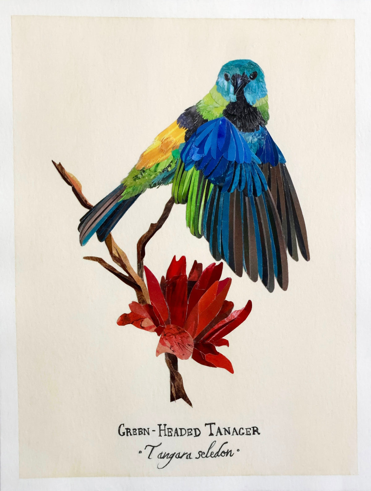 Green-Headed Tanager *Original*