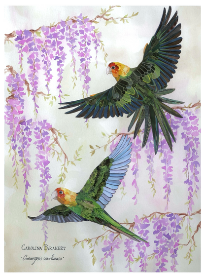 Carolina Parakeet Pair and Wisteria *Original*