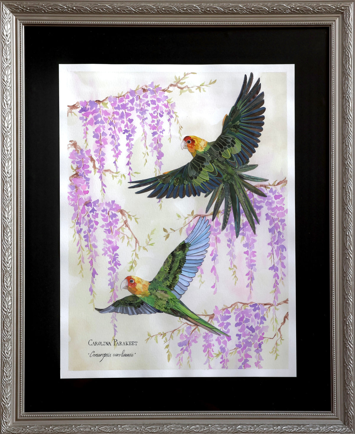 Carolina Parakeet Pair and Wisteria *Original*