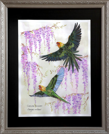 Carolina Parakeet Pair and Wisteria *Original*