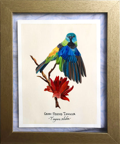 Green-Headed Tanager *Original*