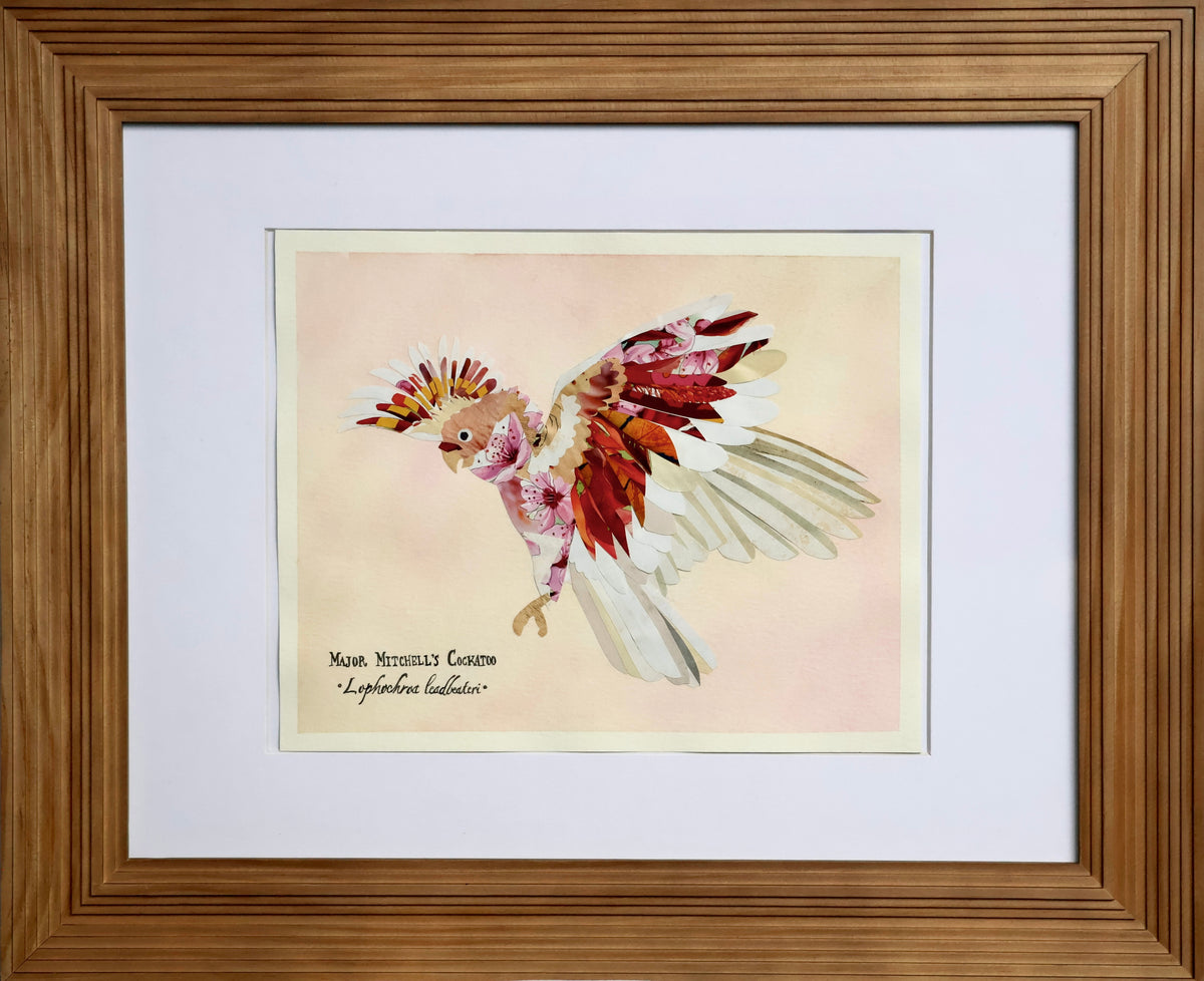 Major Mitchell's Cockatoo *Original*