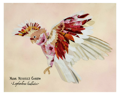 Major Mitchell's Cockatoo *Original*